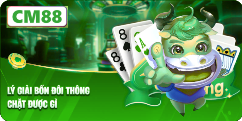 Tổng quan về Bốn Đôi Thông Là Gì